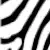 CBRA Global Logo – Venus Heating Solutions Swindon